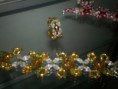 /album/fotogaleria-inicio1/a100-0967-jpg/